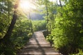 Wooden path across river