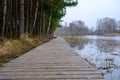 Wooden path along the shore of the lake, plank deck, modern landscape design, recreation area by the water. Royalty Free Stock Photo