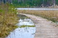 Wooden path along the shore of the lake, plank deck, modern landscape design, recreation area by the water Royalty Free Stock Photo