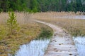 Wooden path along the shore of the lake, plank deck, modern landscape design, recreation area by the water Royalty Free Stock Photo