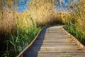 Wooden path in a bird observatory, in the wetlands natural park La Marjal in Pego and Oliva