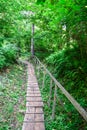 Wooden path and bridge in the forest. Eco trail among boulders and trees on a summer day. The concept of ecology Royalty Free Stock Photo