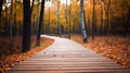 Wooden Path Through the Enchanted Forest Park