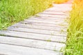 Wooden path at forest. Long track. Pathway hike board. Royalty Free Stock Photo