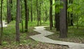 Wooden path in the forest or park in summer. Urban public park with wooden deck for walking and recreation Royalty Free Stock Photo