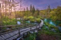 Wooden path in green forest in Plitvice Lakes, Croatia at sunset Royalty Free Stock Photo