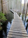 Wooden path on a hiking trail across a swamp lake. Smuggler Cove Marine Provincial Park, BC, Canada Royalty Free Stock Photo