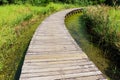 Wooden path on jungle Royalty Free Stock Photo