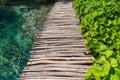 Wooden path and lake