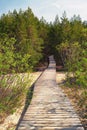 Wooden path leads through the dunes to the forest Royalty Free Stock Photo