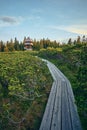 Wooden path at Lovrenska lakes with the tower in the background