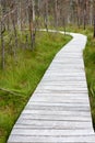 Wooden path through marsh