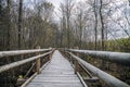 wooden path in the middle of the reeds Royalty Free Stock Photo
