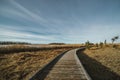 wooden path in the middle of the reeds Royalty Free Stock Photo