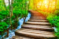 Wooden path in National Park in Plitvice Royalty Free Stock Photo