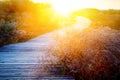 Wooden path Royalty Free Stock Photo