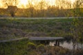 Wooden path over small pond in garden in early spring in sunset.