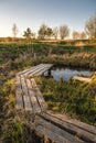 Wooden path over small pond in garden in early spring Royalty Free Stock Photo