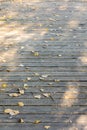 Wooden path in covered with yellow fallen leaves. sunny autumn day Royalty Free Stock Photo