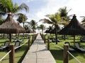 Wooden path passing over the grass and arriving at Cumbuco beach with palm trees and sun loungers Royalty Free Stock Photo