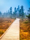 Wooden path in peat bog Bozi Dar, Czech Republic. Colorful autumn landscape scene. Royalty Free Stock Photo
