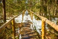 A wooden path on a peat bog covered with snow