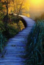 Wooden path in the Plitvice lakes Plitvicka jezera national park, Croatia Royalty Free Stock Photo