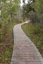 Wooden path on Rock glacier trailhead near Dezadeash lake. Royalty Free Stock Photo