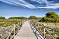 Wooden path on sand dunes close to the sea Royalty Free Stock Photo