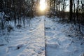 Wooden path through snowy forrest Royalty Free Stock Photo