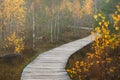 Wooden path through the swamp forest on a foggy day, autumn colors Dubrava marsh reserve Lithuania, aerial view