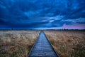 Wooden path through swamp Royalty Free Stock Photo