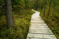 Wooden path through a swampy forest peatland Tarnawa Royalty Free Stock Photo