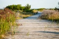 Wooden path to the beach Royalty Free Stock Photo