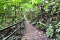 Wooden path to mountain Kinabalu Royalty Free Stock Photo