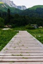 Wooden path to the mountains for tourists. Path for a walk in the woods and mountains Royalty Free Stock Photo