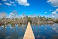 The wooden path towards Neak Pean temple. Siem Reap. Cambodia.