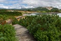 Wooden path in the Uzon Caldera. Kronotsky Nature Reserve