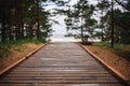Wooden path for walking in a beautiful pine forest Royalty Free Stock Photo