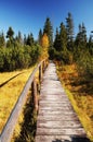 Wooden path walkway, Czech Republic Royalty Free Stock Photo