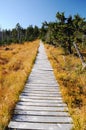 Wooden path walkway, Czech Republic