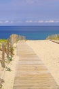 Wooden path way access Atlantic beach in sand dunes in Cap-Ferret ocean france