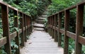 Wooden path, way, track from planks in forest park, perspective image background Royalty Free Stock Photo