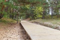 Wooden path, wooden walkway at Baltic sea over sand dunes with pine forest view. Royalty Free Stock Photo