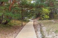 Wooden path, wooden walkway at Baltic sea over sand dunes with pine forest view. Royalty Free Stock Photo