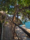 Wooden paths along the sea