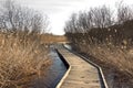 Wooden pathway