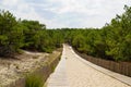 Wooden pathway access to beach sea in lege Cap-Ferret coast Atlantic in france Royalty Free Stock Photo