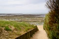 Wooden pathway access to beach sea in oleron island coast Atlantic in france Royalty Free Stock Photo