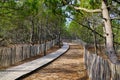 Wooden pathway access to beach sea in spring in Cap-Ferret coast Atlantic in france Royalty Free Stock Photo